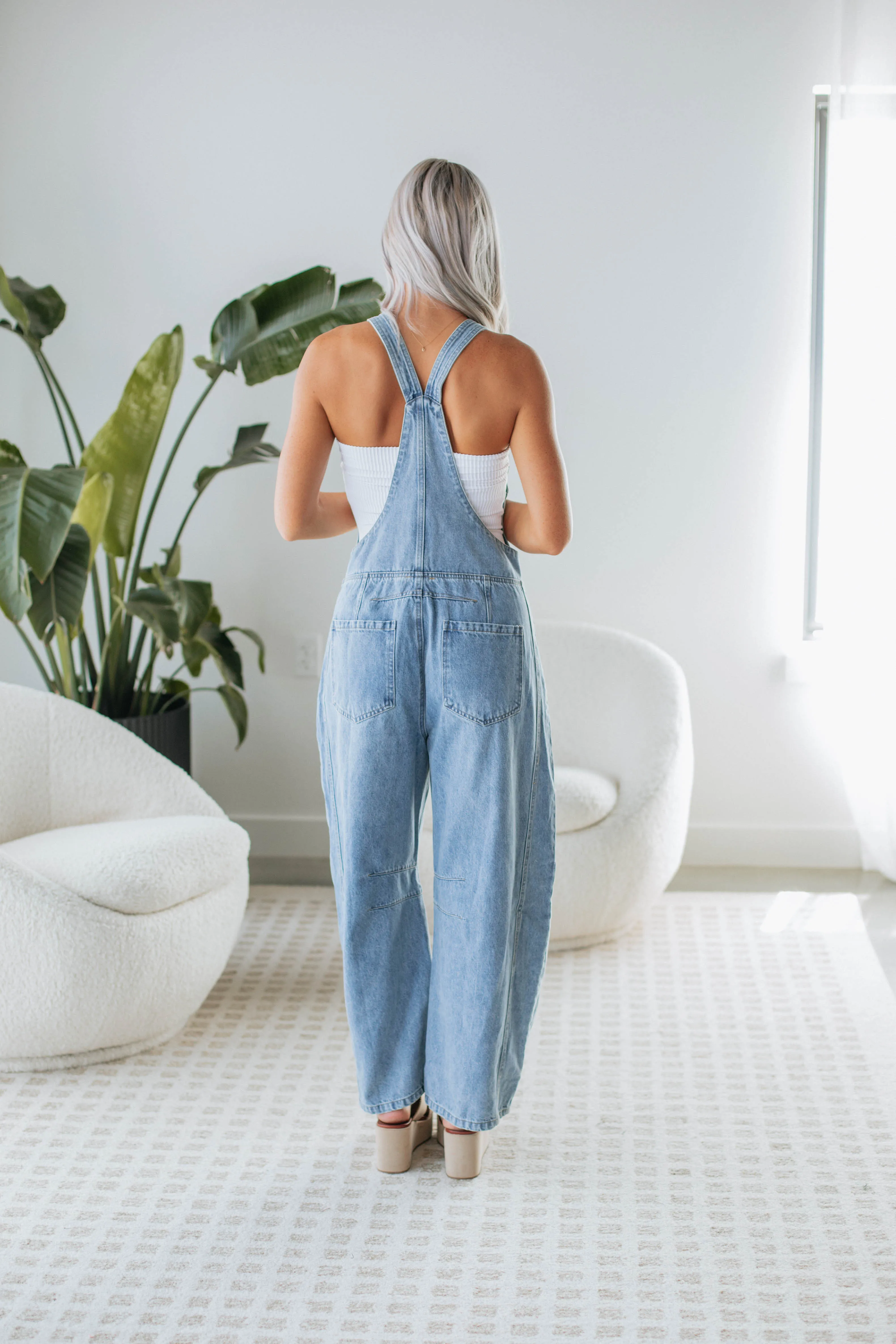 Danni Denim Overalls